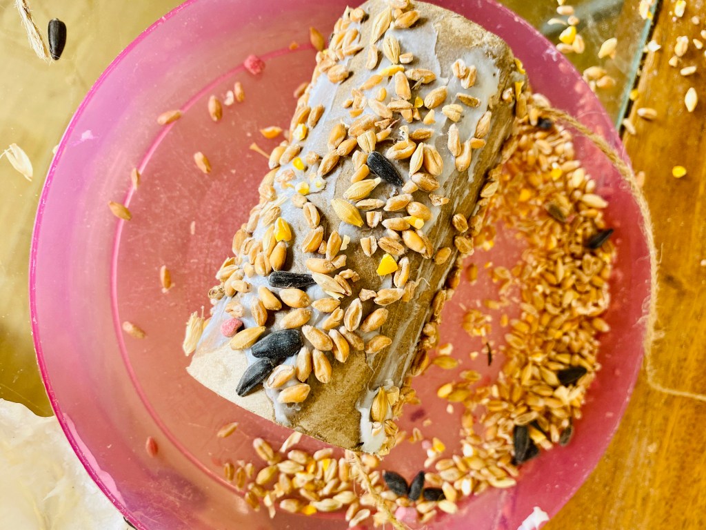 Coating the homemade bird feeder in bird seed