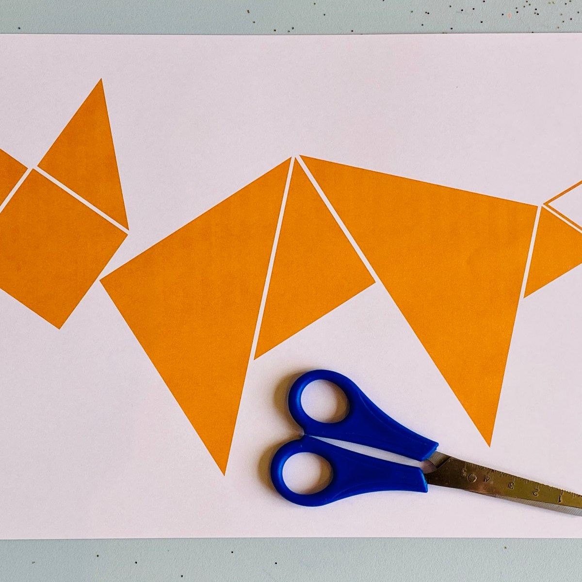 The Wildlife Around&nbsp;Us