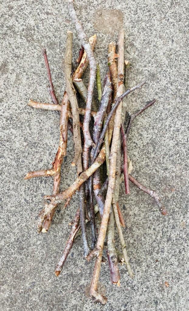 Pile of sticks to make a bug hotel