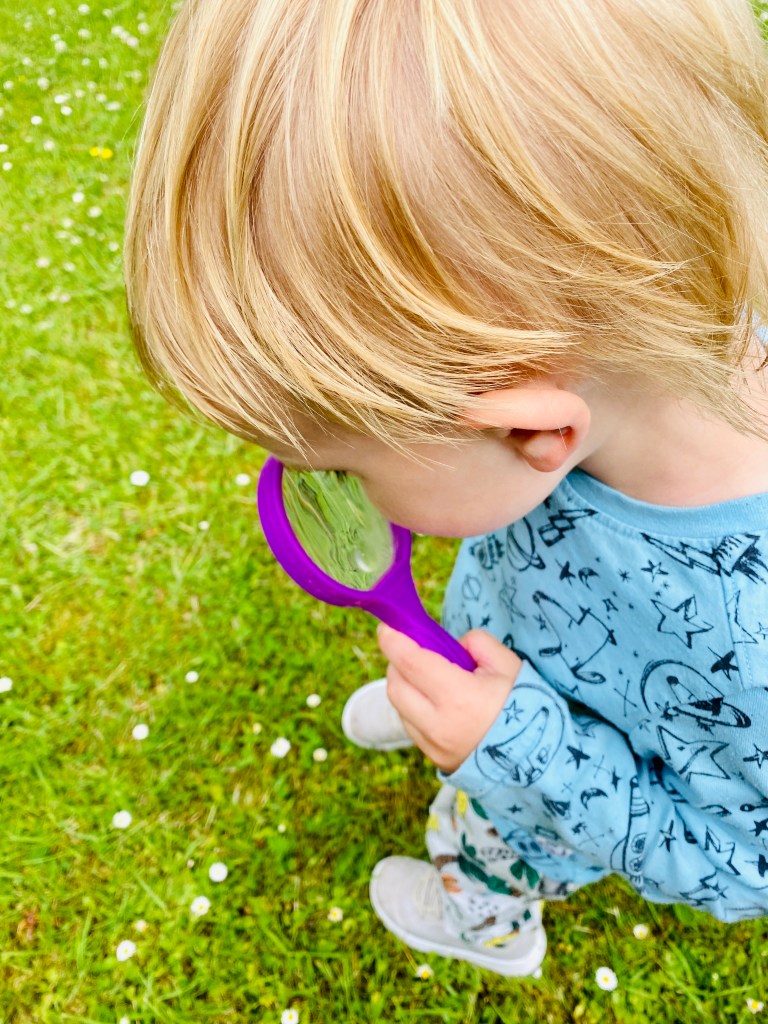 Child using a magnifying glass to search for bugs and insects and spiders