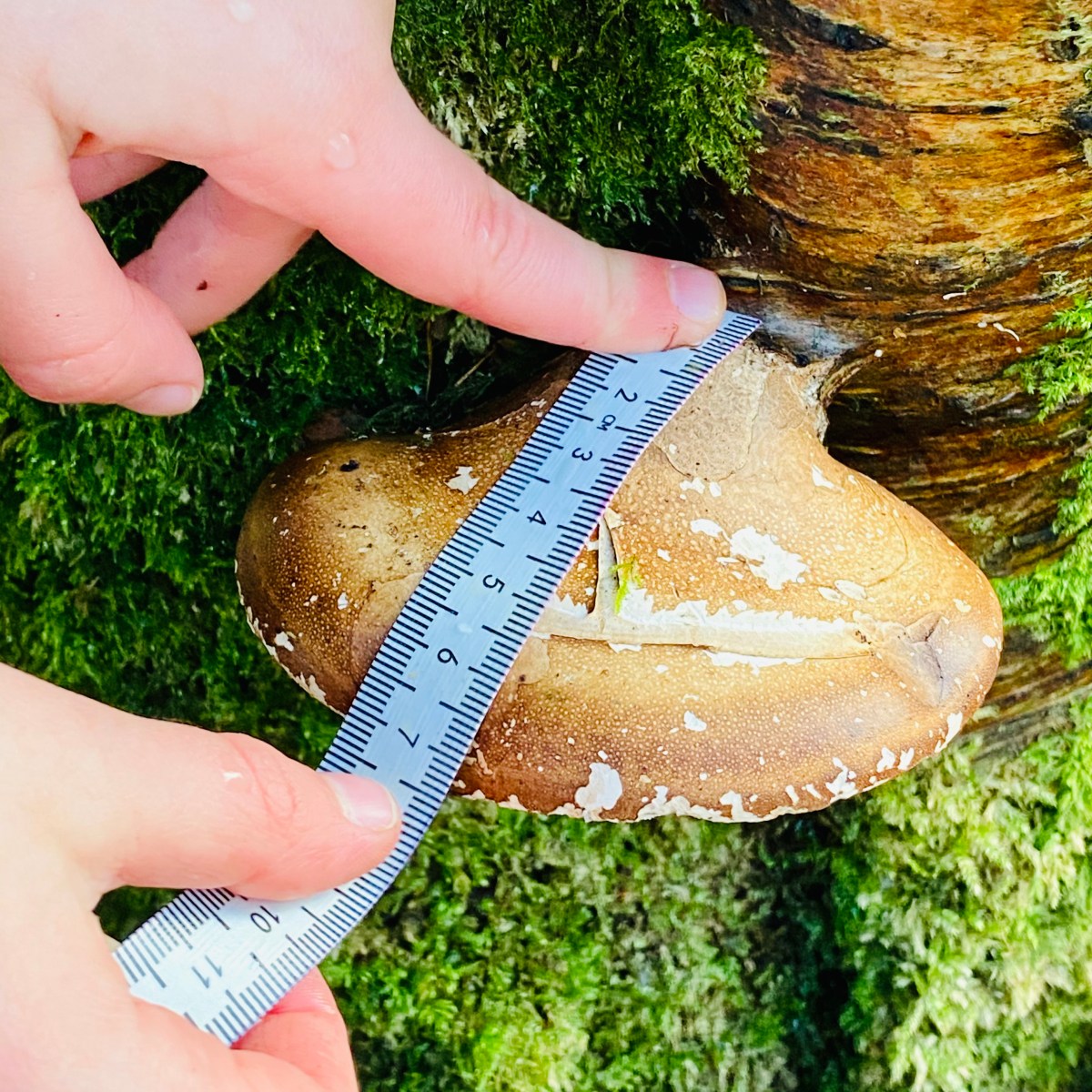 How to teach kids the art of&nbsp;measuring